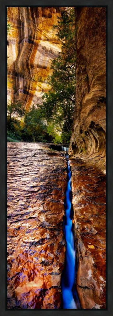 Zions Fissure Gallery Wrap