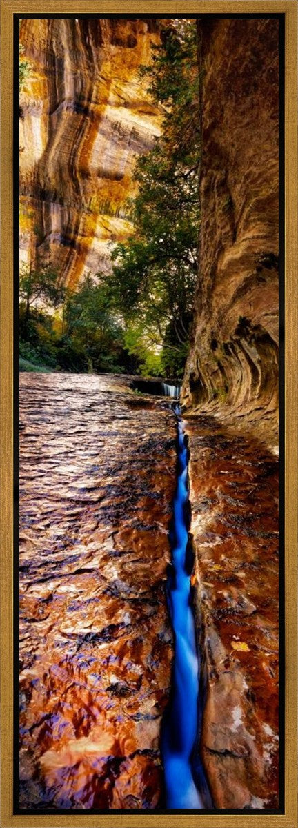 Zions Fissure Gallery Wrap