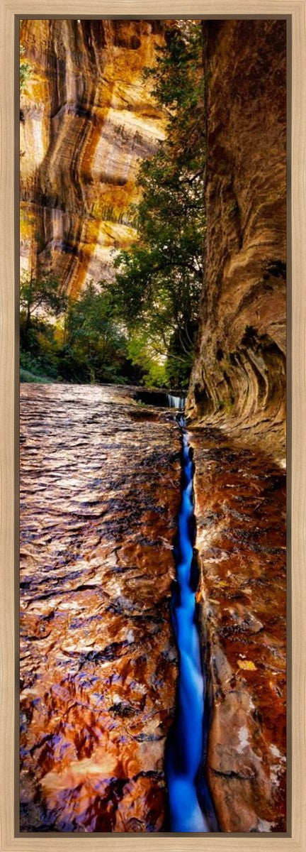 Zions Fissure Gallery Wrap