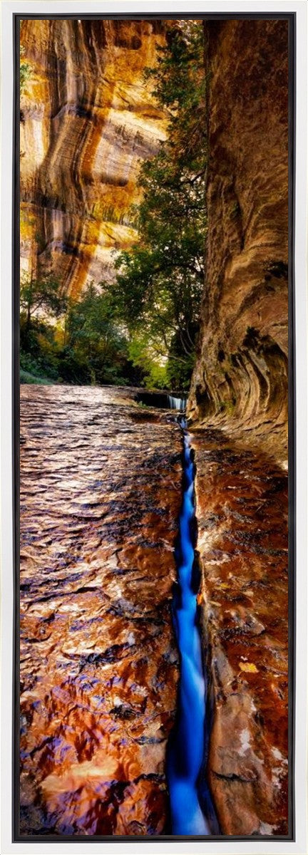 Zions Fissure Gallery Wrap