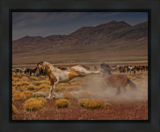 Rebound Gallery Wrap