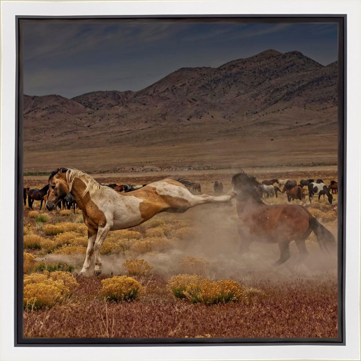 Rebound Gallery Wrap