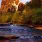 Morning At The Falls