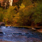 Morning At The Falls