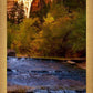 Morning At The Falls