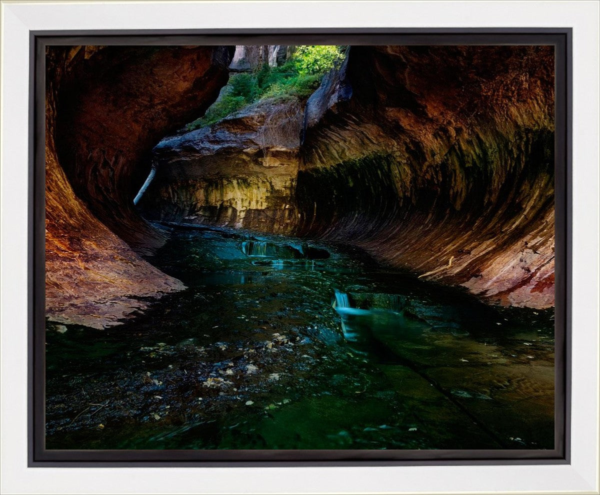 Zion's Abyss Gallery Wrap