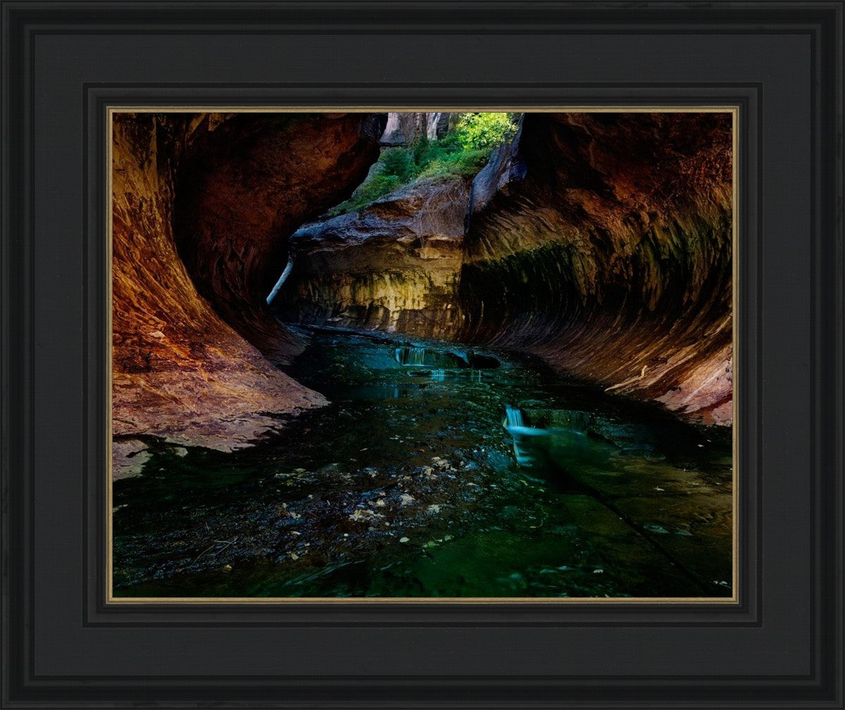 Zion's Abyss