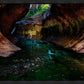 Zion's Abyss