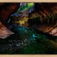 Zion's Abyss