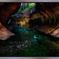 Zion's Abyss