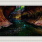 Zion's Abyss