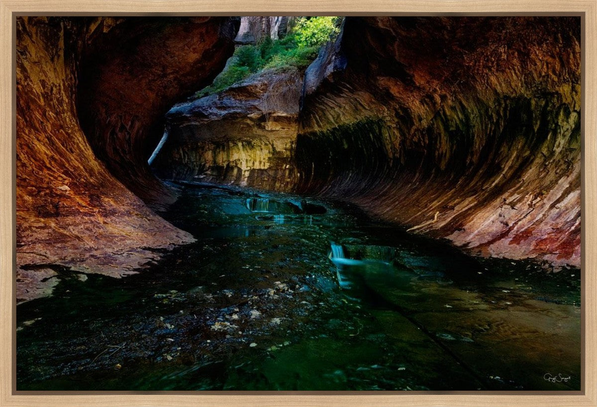 Zion's Abyss Gallery Wrap