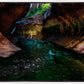 Zion's Abyss
