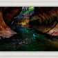 Zion's Abyss