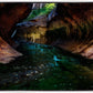 Zion's Abyss