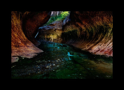 Zion's Abyss