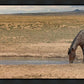 Cool Water