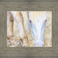 Dry Grass