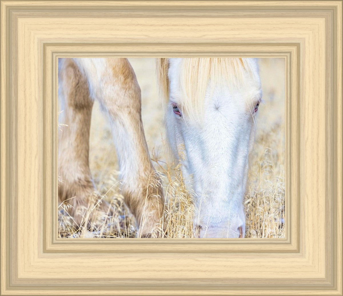 Dry Grass