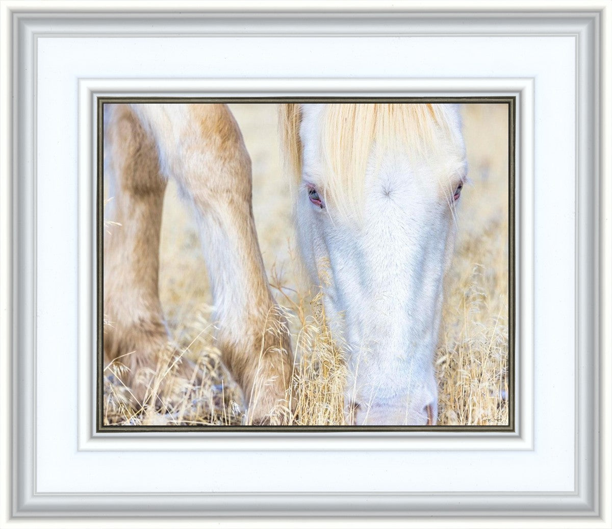 Dry Grass