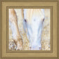 Dry Grass