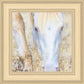 Dry Grass