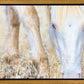 Dry Grass