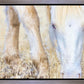 Dry Grass