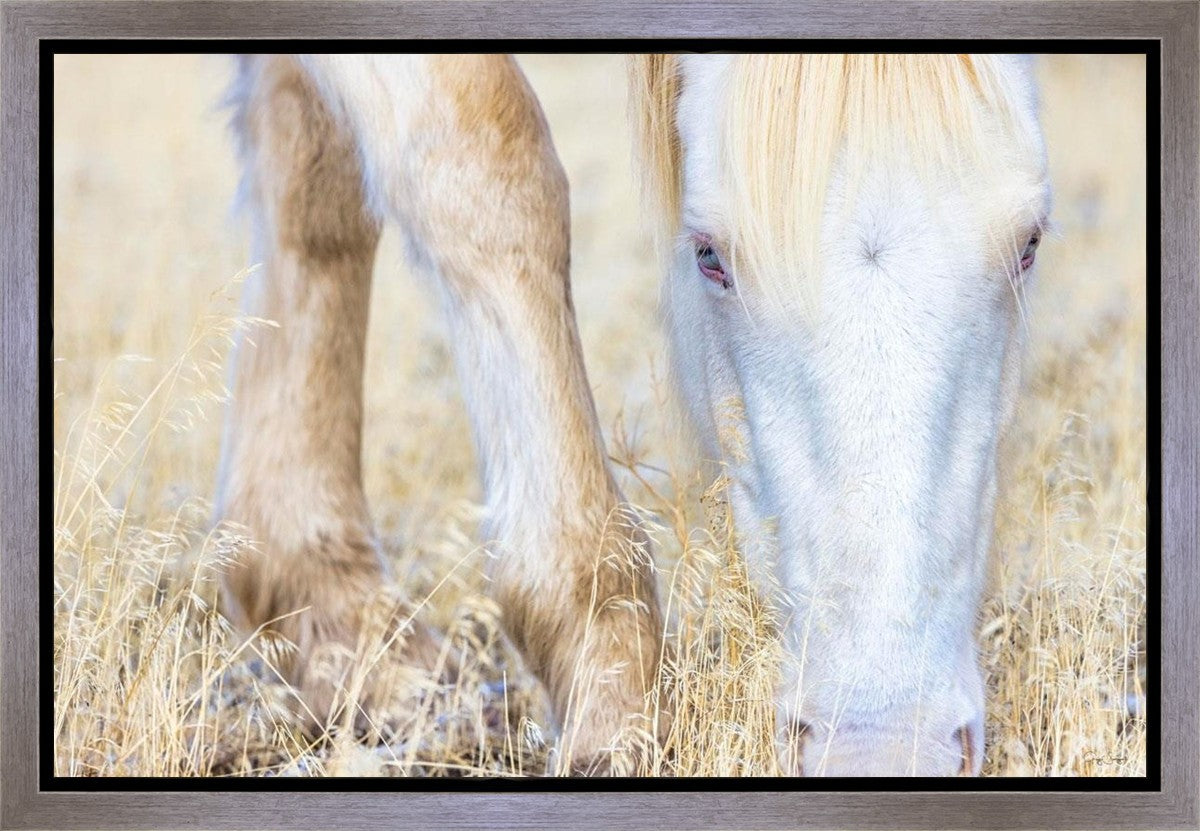 Dry Grass Gallery Wrap