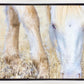 Dry Grass