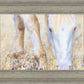 Dry Grass