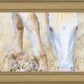 Dry Grass