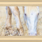 Dry Grass