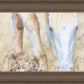 Dry Grass