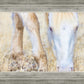 Dry Grass