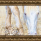 Dry Grass