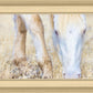 Dry Grass