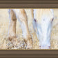 Dry Grass