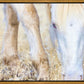 Dry Grass