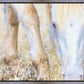 Dry Grass