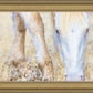 Dry Grass