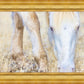 Dry Grass