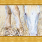 Dry Grass