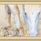 Dry Grass