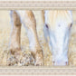 Dry Grass