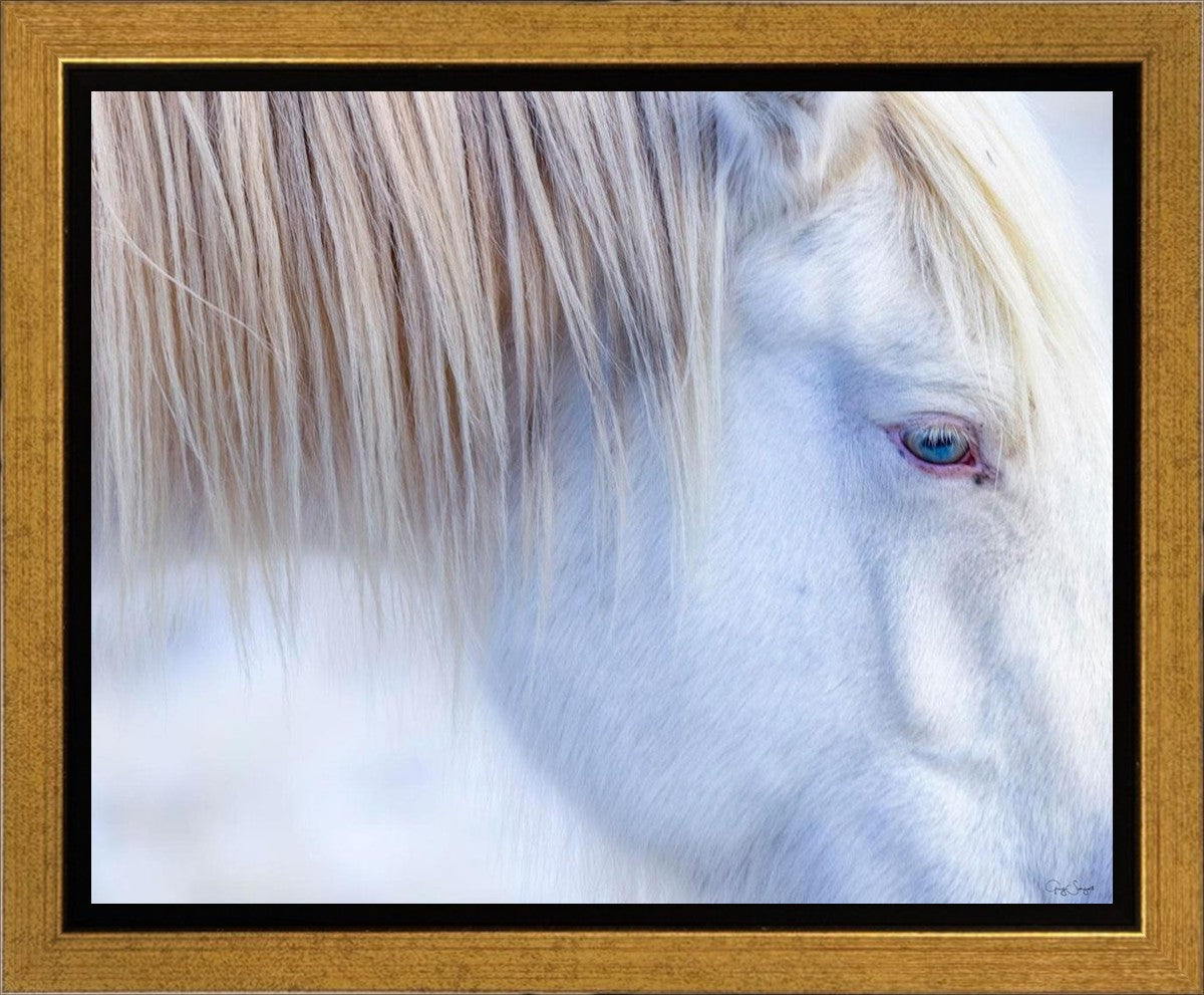 White Gypsy Gallery Wrap