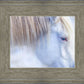 White Gypsy