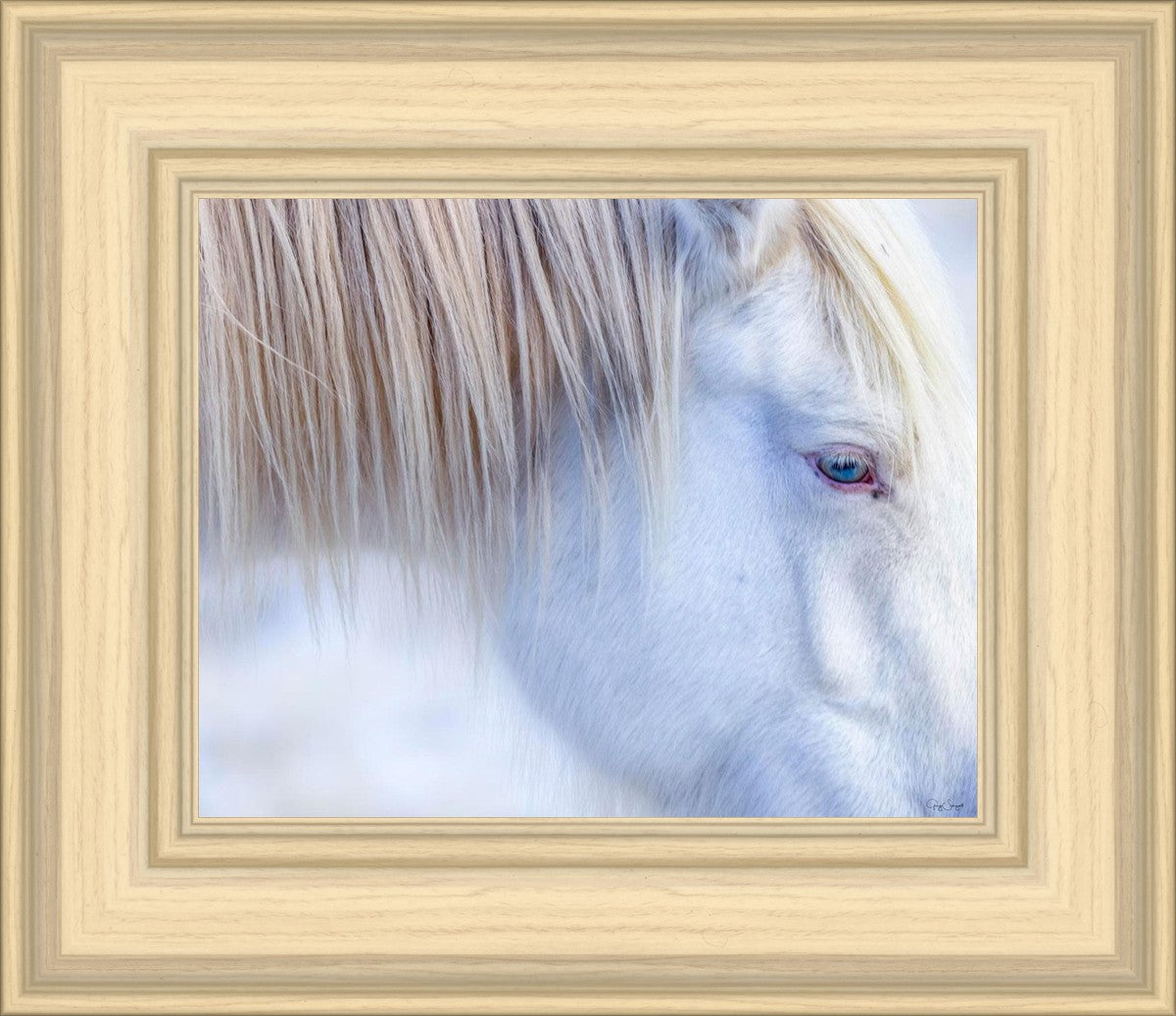 White Gypsy