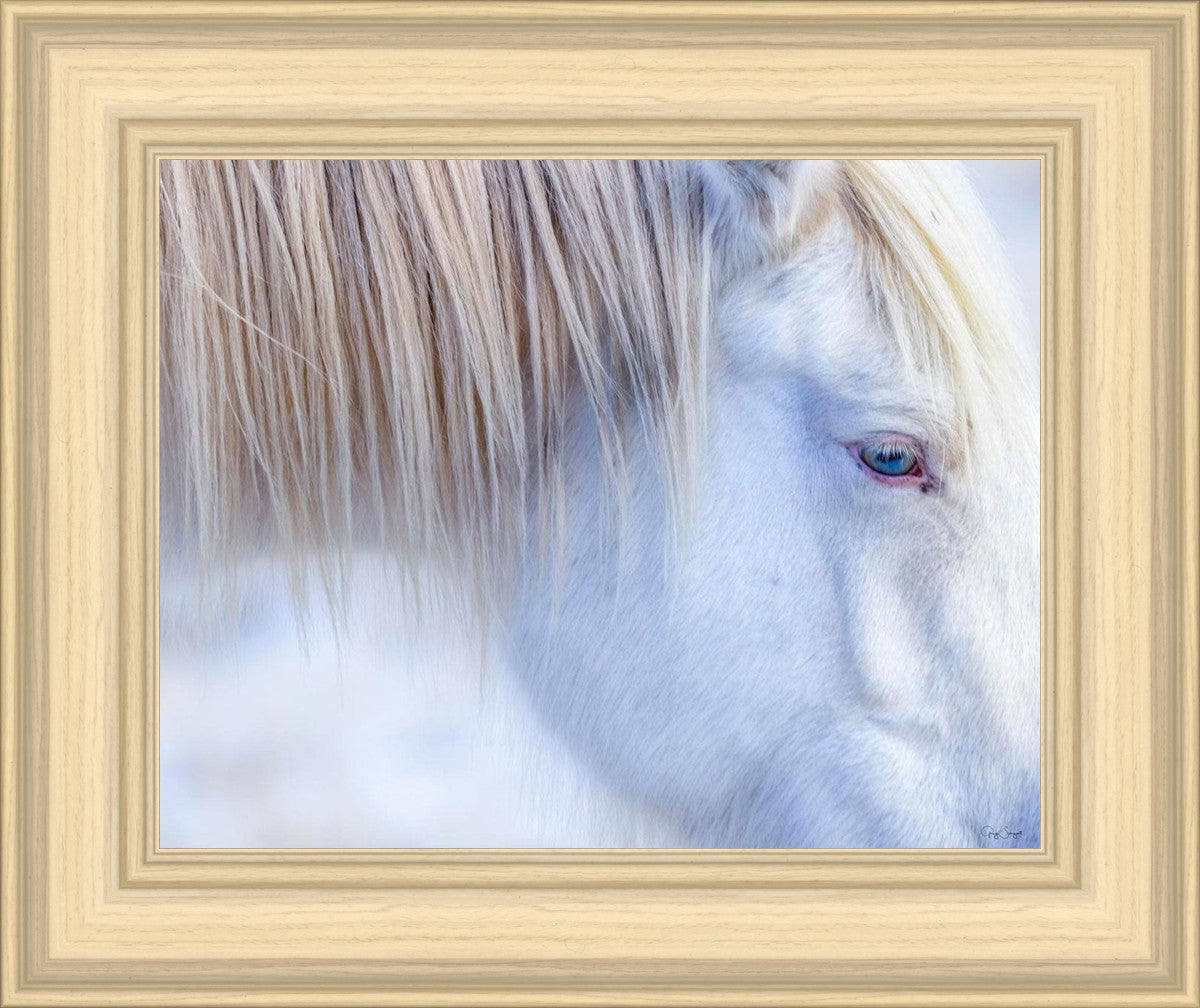 White Gypsy