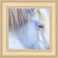 White Gypsy